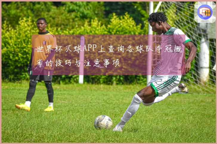 世界杯买球APP上查询各球队夺冠概率的技巧与注意事项