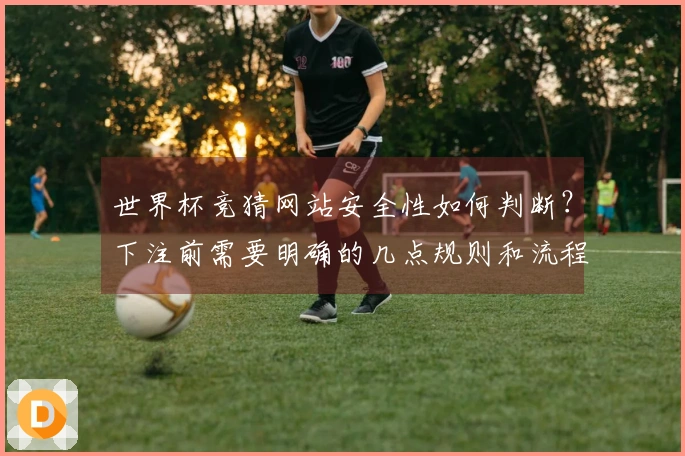 世界杯竞猜网站安全性如何判断？下注前需要明确的几点规则和流程