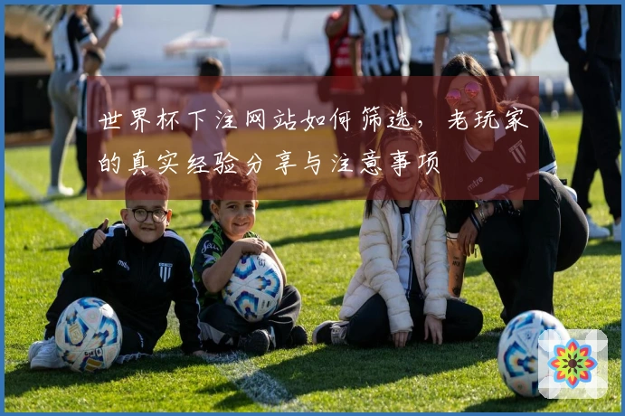 世界杯下注网站如何筛选，老玩家的真实经验分享与注意事项