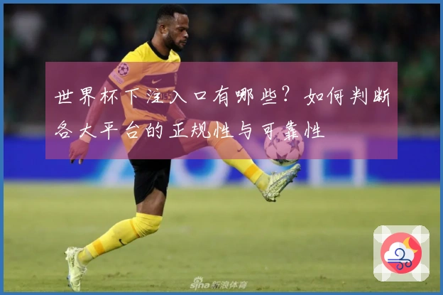 世界杯下注入口有哪些？如何判断各大平台的正规性与可靠性