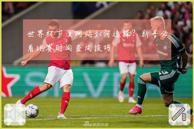 世界杯下注网站如何选择？新手必看比赛时间查询技巧