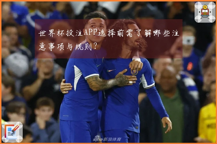 世界杯投注APP选择前需了解哪些注意事项与规则？