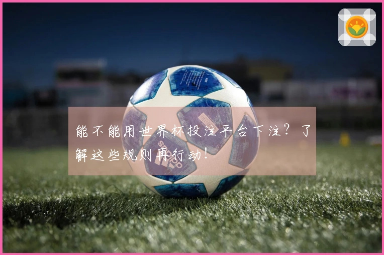 能不能用世界杯投注平台下注？了解这些规则再行动！