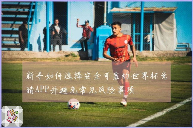 新手如何选择安全可靠的世界杯竞猜APP并避免常见风险事项