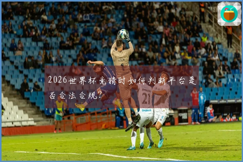 2026世界杯竞猜时如何判断平台是否合法合规？