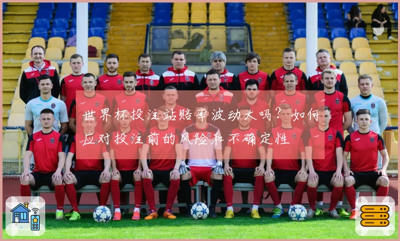 世界杯投注站赔率波动大吗？如何应对投注前的风险和不确定性