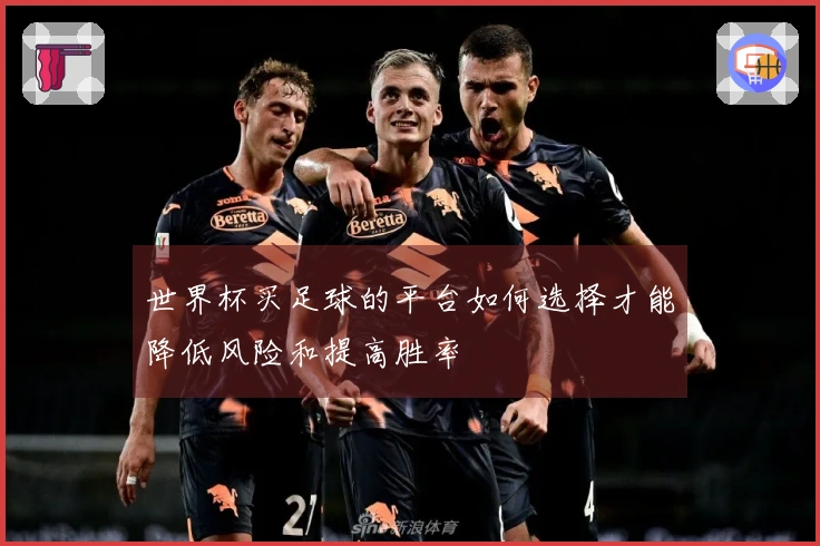 世界杯买足球的平台如何选择才能降低风险和提高胜率