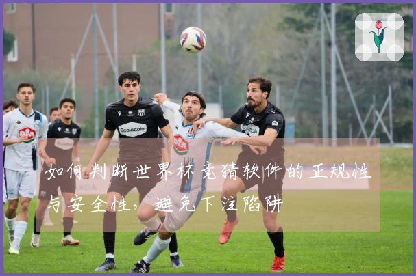 如何判断世界杯竞猜软件的正规性与安全性，避免下注陷阱