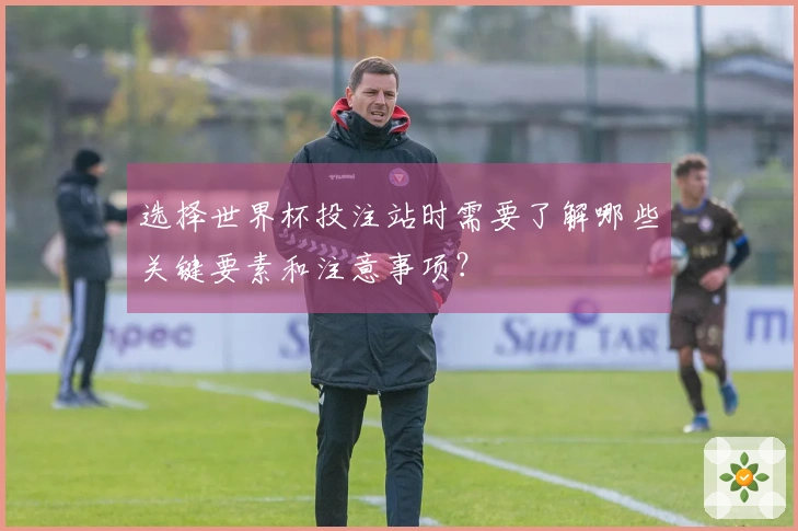 选择世界杯投注站时需要了解哪些关键要素和注意事项？