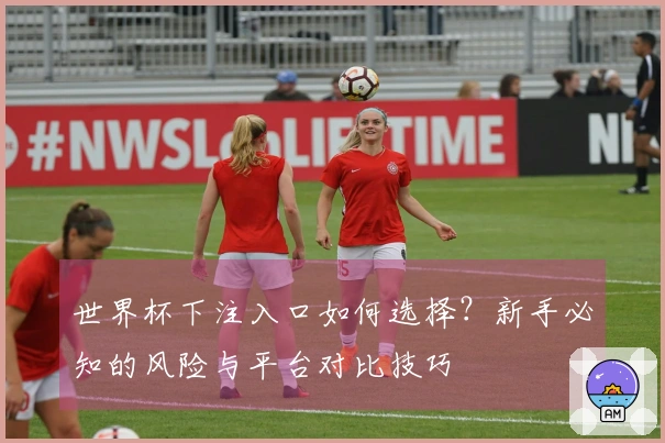 世界杯下注入口如何选择？新手必知的风险与平台对比技巧