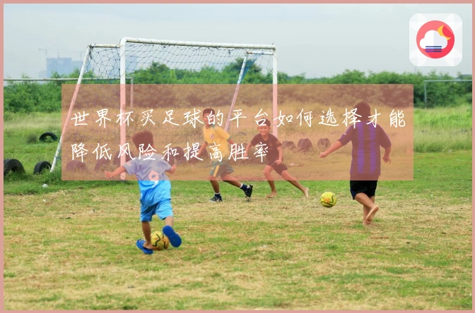 世界杯买足球的平台如何选择才能降低风险和提高胜率