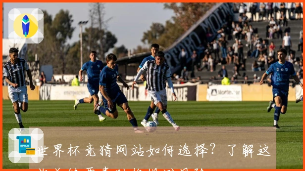 世界杯竞猜网站如何选择?了解这些关键要素助你规避风险