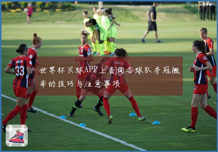 世界杯买球APP上查询各球队夺冠概率的技巧与注意事项