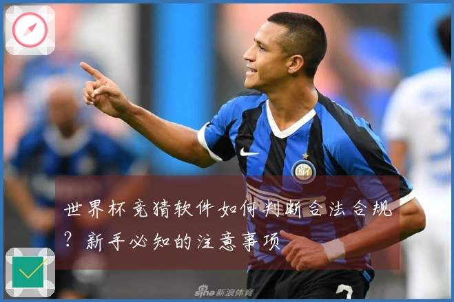 世界杯竞猜软件如何判断合法合规？新手必知的注意事项
