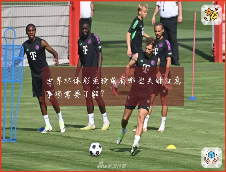 世界杯体彩竞猜前有哪些关键注意事项需要了解？