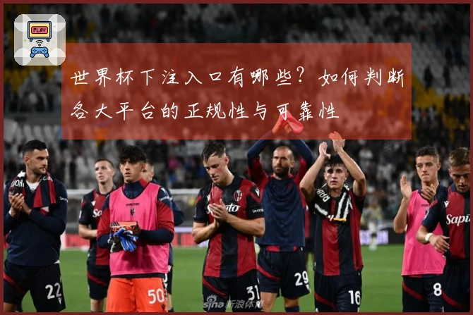 世界杯下注入口有哪些？如何判断各大平台的正规性与可靠性