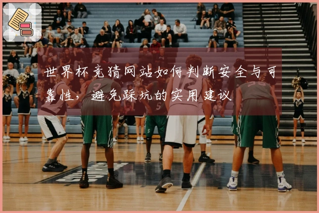 世界杯竞猜网站如何判断安全与可靠性，避免踩坑的实用建议