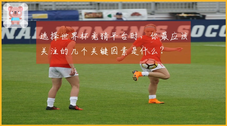选择世界杯竞猜平台时，你最应该关注的几个关键因素是什么？
