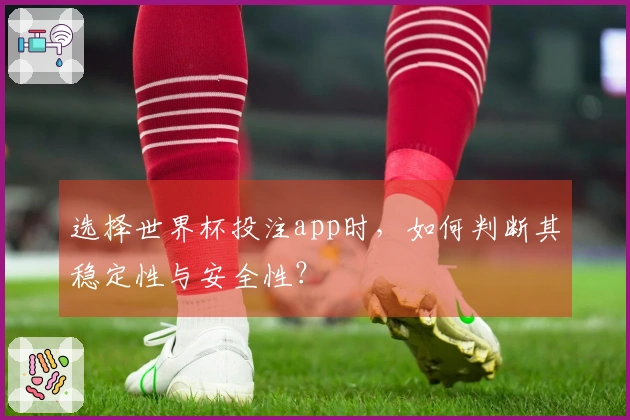 选择世界杯投注app时，如何判断其稳定性与安全性？